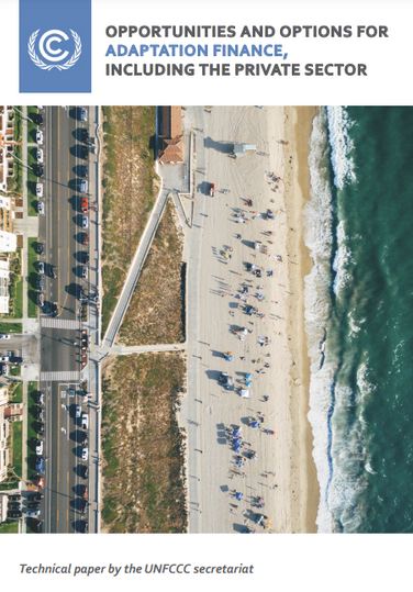 Oportunities and options for adaptation finance, including in relation to the private sector