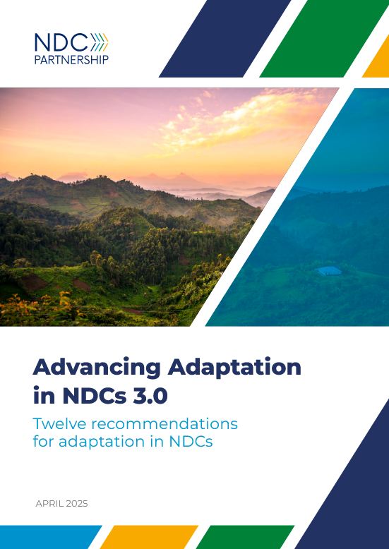 Advancing Adaptation in NDCs 3.0